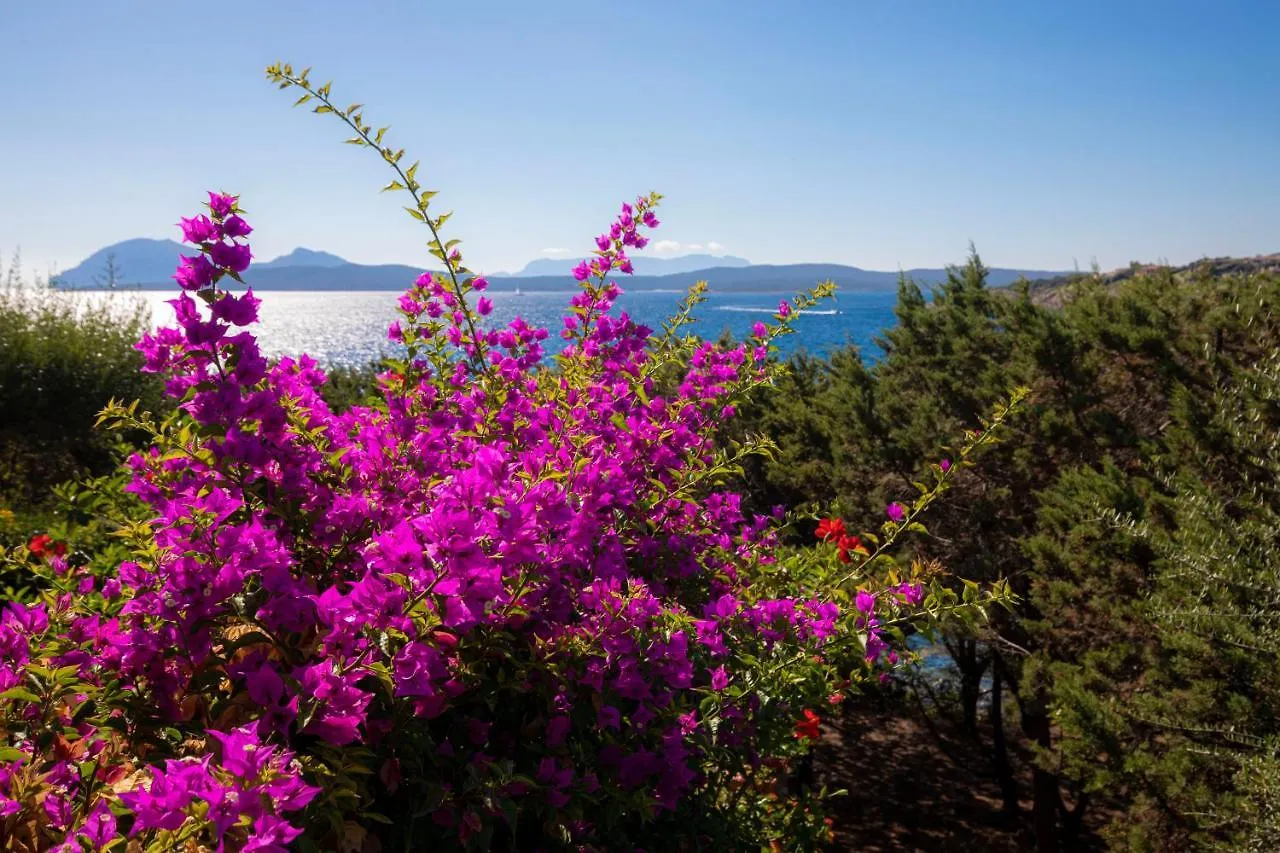 Splendido Appartamento Vista Mare Porto Rotondo Apartament